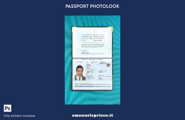 modello di aspetto fotografico del passaporto della Corea del Sud in stile verif